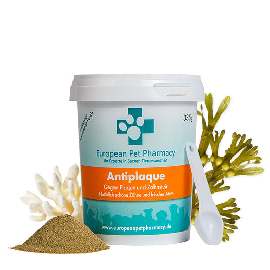 Antiplaque - Zahnpflege gegen Plaque und Zahnstein